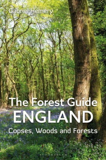 The Forest Guide: England Copses Woods and Forests of England