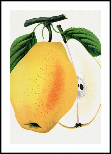 Kiefer"s Hybrid Pear Lithograph Plakat Plakat / 40x50cm Kiefer"s Hybrid Pear Lithograph Plakat Plakat / 40x50cm