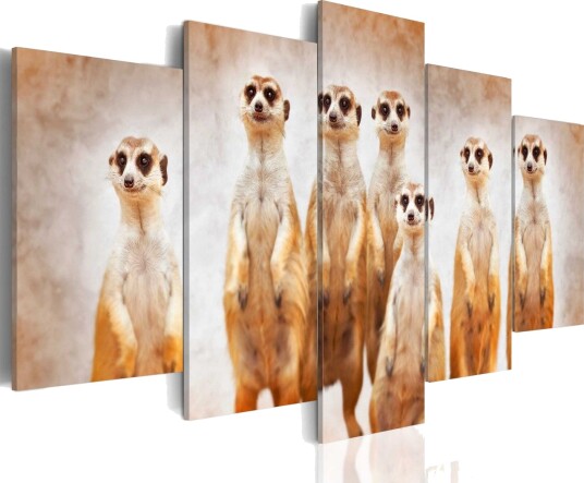 Bilde Family Of Meerkats 200x100 Artgeist sp. z o. o.