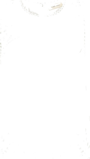 Cream Dame Topper Hvit XS,