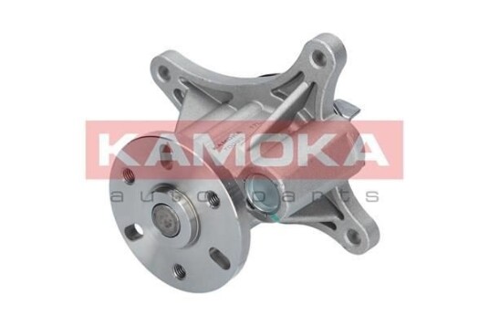 Vannpumpe KAMOKA T0093
