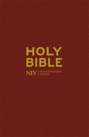 Niv Popular Burgundy Hardback Bible Av New International Version
