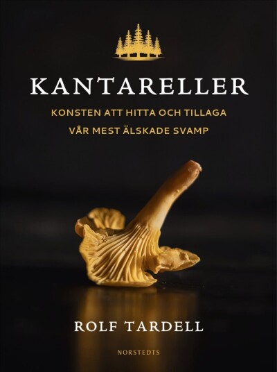Kantareller