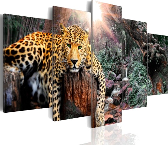 Bilde Leopard Relaxation 200x100 Artgeist sp. z o. o.