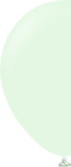 Ballongkungen Ballonger Professional Pale Green 100-pakning 1123009-100