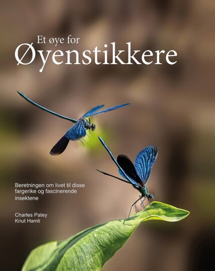Et øye for Øyenstikkere Et øye for Øyenstikkere