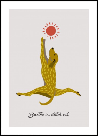 Stretching Dog Sun Plakat / 50x70
