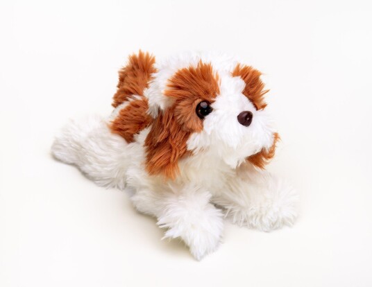 Hund Bamse Vicky Spaniel | Hilda