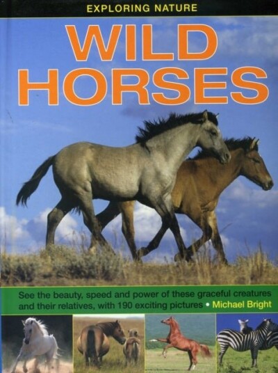 Exploring Nature: Wild Horses Exploring Nature: Wild Horses