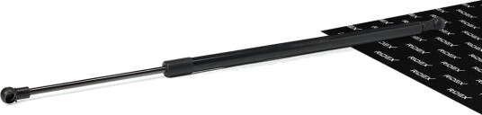 RIDEX 219G1398 Baklukedemper