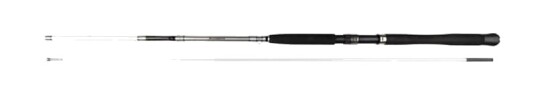 Daiwa Accudepth Interline 7"0"/213cm 12-20lb 7-8 Daiwa Accudepth Interline 7"0"/213cm 12-20lb 7-8
