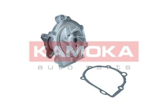 Vannpumpe KAMOKA T0320