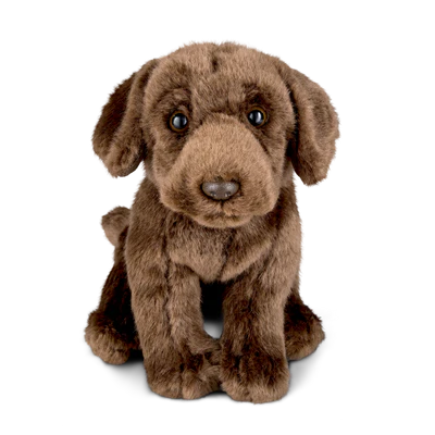 Living Nature Chocolate Labrador