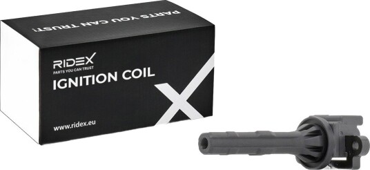 Tennspole RIDEX 689C0423