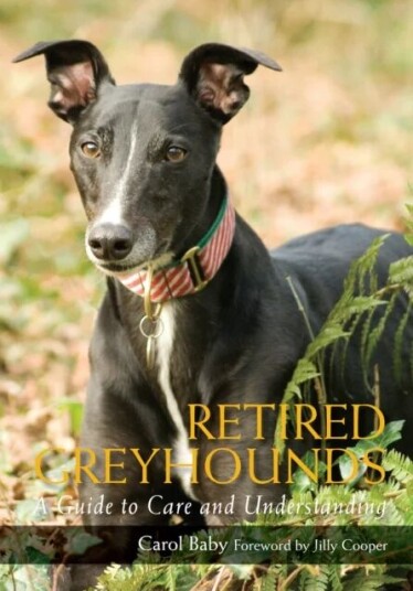 Retired Greyhounds Av Carol Baby