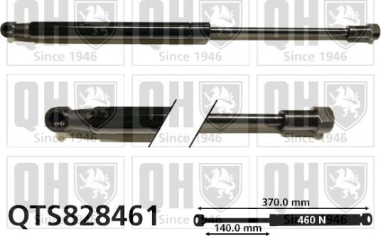QUINTON HAZELL QTS828461 Baklukedemper
