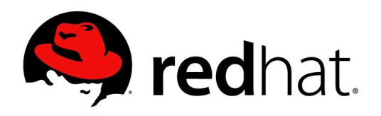 RED HAT RH Decis Man ST 4 Core