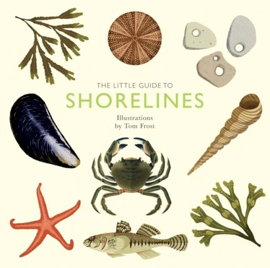 The Little Guide To Shorelines Av Alison Davies