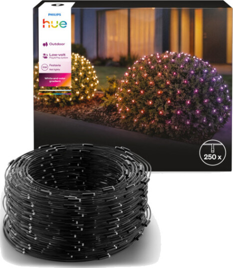 Philips Hue Festavia Net 250LED 3m