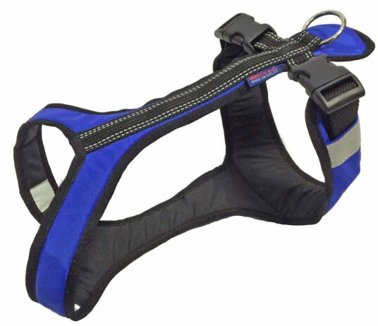 Zero Dc ZeroDC Short Blue -Hundesele
