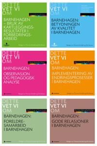 Dette Vet Vi Om Barnehagen