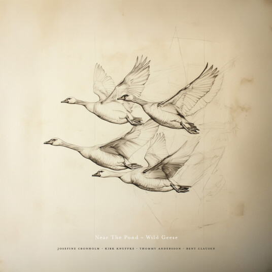 Near The Pond Wild Geese CD