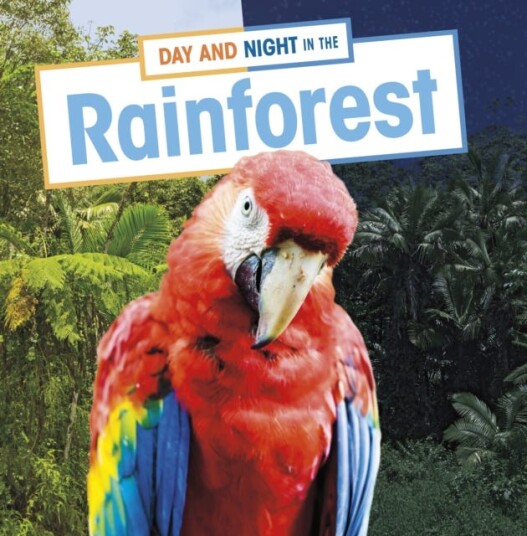 Day And Night In The Rainforest Av Ellen Labrecque