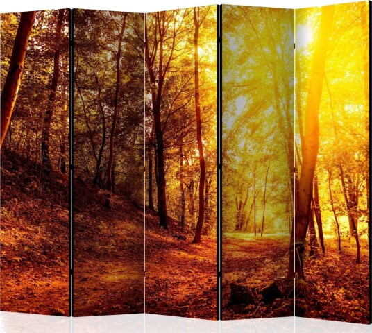 Romdeler - Autumn Walk II 225x172 - Artgeist sp. z o. o.