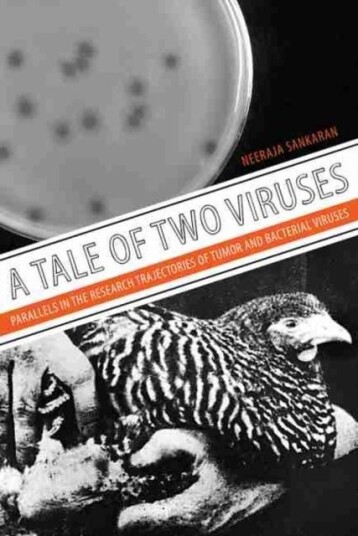 A Tale of Two Viruses A Tale of Two Viruses