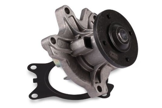 HEPU P411 Vannpumpe HEPU P411 Vannpumpe