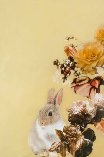 Malerifabrikken Poster Pet Couture 4 1682748-01-48