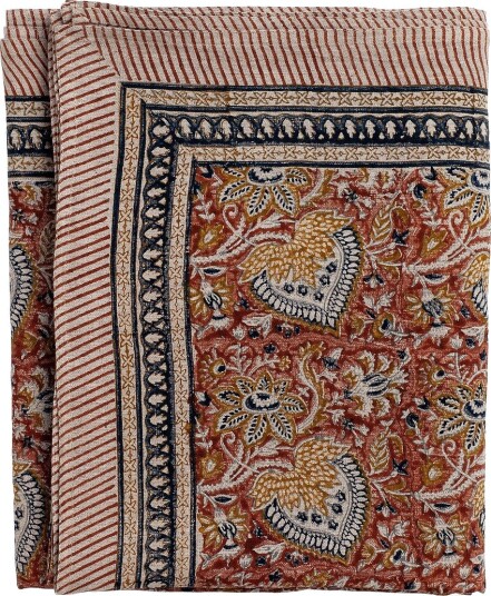 Chamois Linduk Oriental Brun