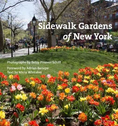 Sidewalk Gardens Of New York Av Betsy Pinover Schiff, Alicia Whitaker