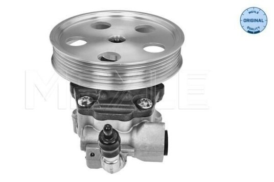 Servopumpe MEYLE 114 631 0042 Servopumpe MEYLE 114 631 0042