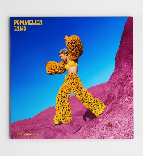 Pommelien Thijs Per Ongeluk CD Pommelien Thijs Per Ongeluk CD