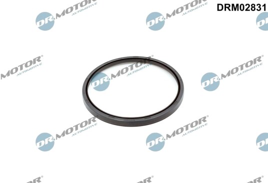 Simring, veivaksel DR.MOTOR AUTOMOTIVE DRM02831