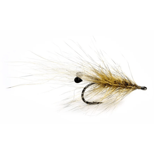 Coyote Grisen #6