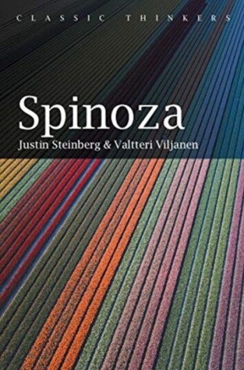 Spinoza Av Justin Steinberg