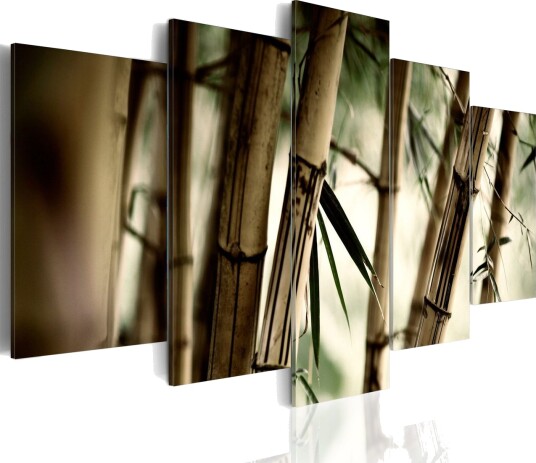 Bilde Asian Bamboo Forest 100x50 Artgeist sp. z o. o.