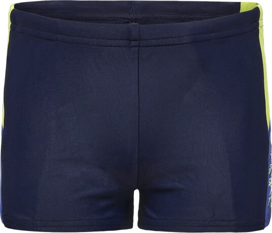 Speedo Dive Aquashort   PEACOAT/DEEP SAPPHIRE   152