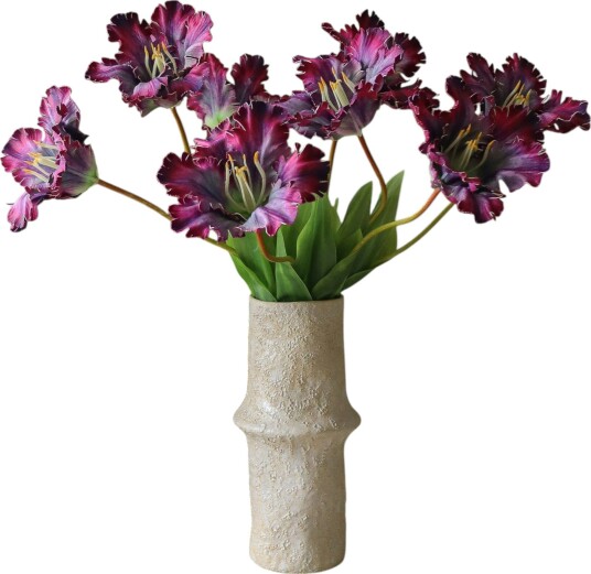 Parrot Tulip Bukett 70 cm 5-pk