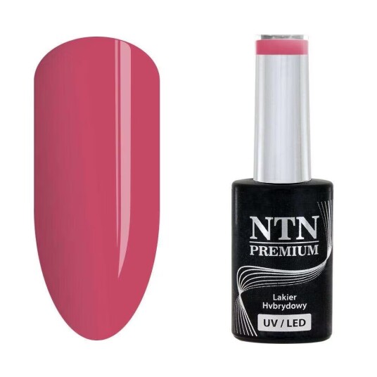 Ntn Premium Gellack Topless Nr15 5g UV-gel/LED