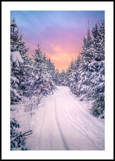 Christmas feeling Plakat Plakat / 30x40cm