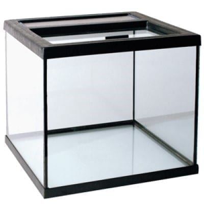 Ozami Helglass terrarier, toppbetjent 28x28x26 cm