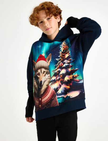 Lindex Sweatshirt Hood Christmas Ai Navy 170
