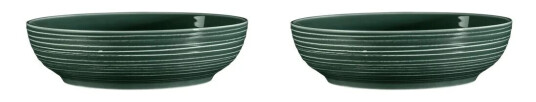 Seltmann Weiden Terra skål Ø 25,5 cm 2-pakning Moss Green