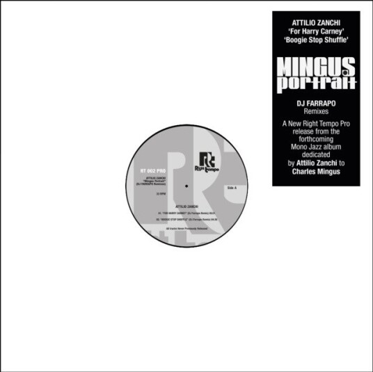 Attilio Zanchi Mingus Portrait Dj Farrapo Remixes Uk Vinyl