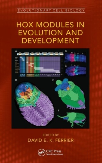 Hox Modules In Evolution And Development
