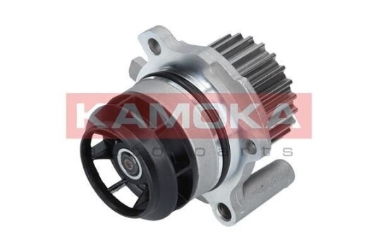 KAMOKA T0022 Vannpumpe
