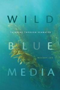 Wild Blue Media Av Melody Jue Wild Blue Media Av Melody Jue